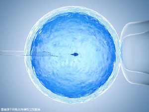 私人拉拉借卵代怀助孕咨询