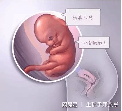私人拉拉借卵代怀助孕咨询门诊